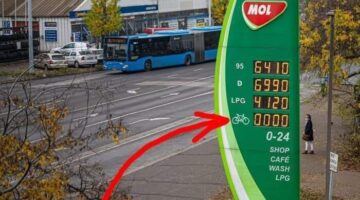 318137319_485604627028657_4061782361408849830_n