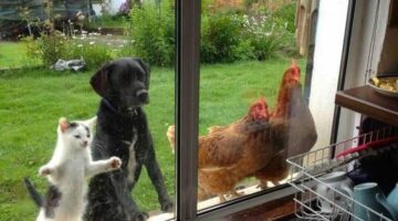 318199285_5941849439193862_7073019840821886873_n