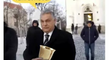 319158348 5766624033380814 6540178055124809019 n 840x810