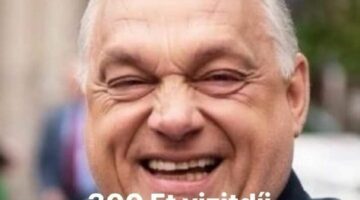 319291208_1140594023247158_3607474846060497270_n