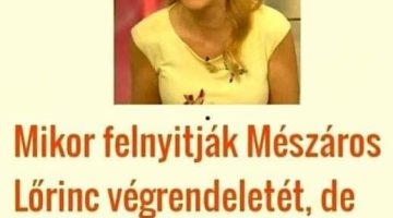 319880048_381553790832331_5092940551811864018_n