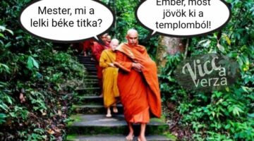 320521266_850596649548466_2351660060419040191_n