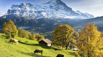 32177796-8647811-The_late_summer_sunshine_on_the_slops_of_the_Swiss_mountains_wit-a-33_1598011205705