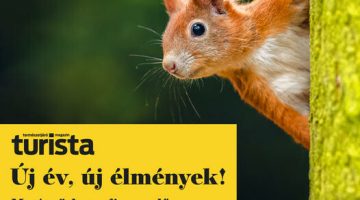 322412995_6306021357141_2586800290221516319_n