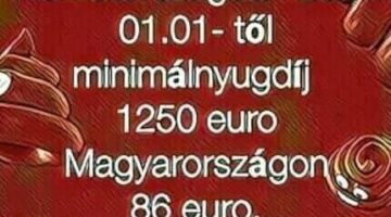 326273124_714741670209369_3119803289193683855_n