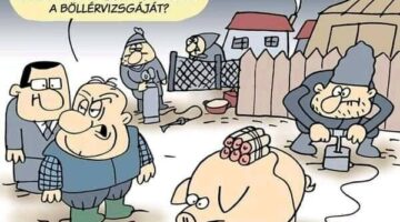 327041916_561258082712763_3806625826430062683_n