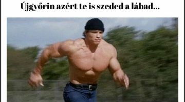 327085232_1388858611943382_164799079082287322_n