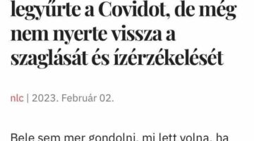 328830922_850832169359550_3821623285962481782_n