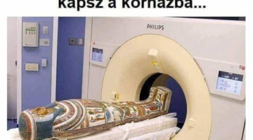 329037734_1173696556852091_1807312472883012544_n