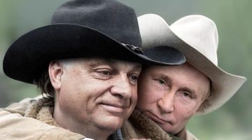 329258224_912731689873763_438567859133089557_n