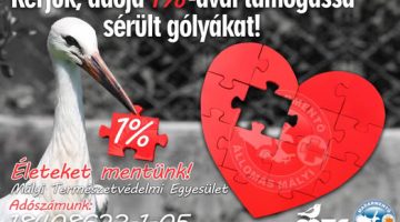 330136059_23854097802240583_7117966813481857473_n