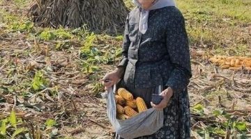 331059475_510386934607427_6366071623600810363_n