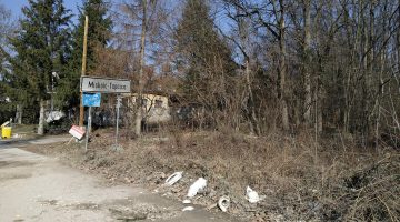 331409833_751730546119230_1156449317525833808_n