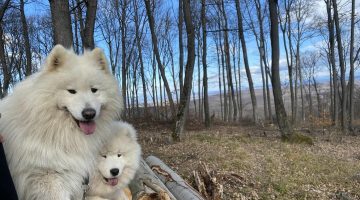 331570774_585515473597792_6669616009808198406_n