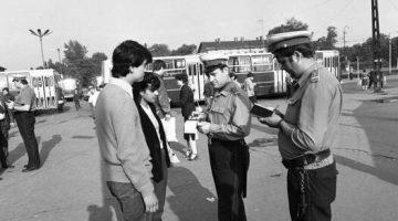 331735797 454317493501421 1673836902136976481 n