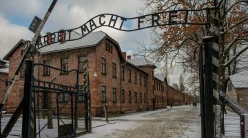 336901454_760914035388957_6811785879664019181_n