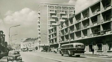 337272793 706295324513623 1944410189935292578 n