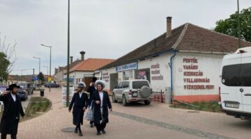 341495123_1005150023733780_8569780092466404118_n (1)