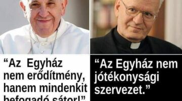 342356228_248879237648077_1320118405511131557_n