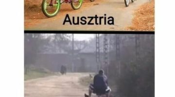 344697490_1413293276097738_2037843180787249250_n