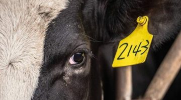 345637327_968149330849229_5403684077862515395_n