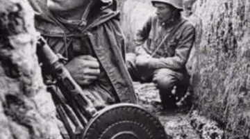 345853171_258999626596816_6362570500181658027_n