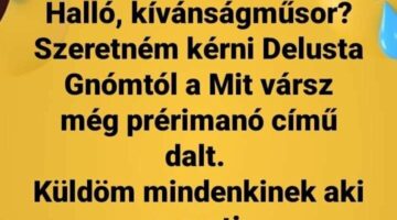 347269429_6203911153058904_1050393394455105760_n