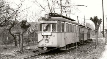 347563625_10222700098791414_1298425704104536808_n