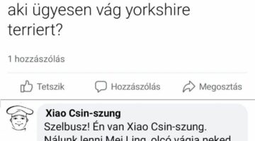 348444758_141869978879522_8809533765734941943_n