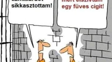 348810324_956923198673386_8284865516171317479_n