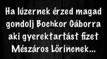 349082947_260729153153828_1093170200058564875_n