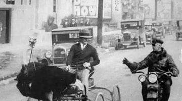 356837740_225396883778423_5687035032915291885_n