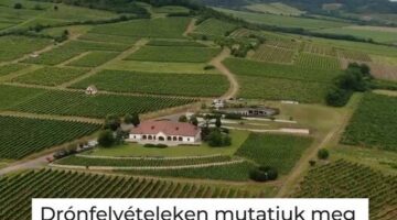 363304286_616597007274217_6788103232586176097_n