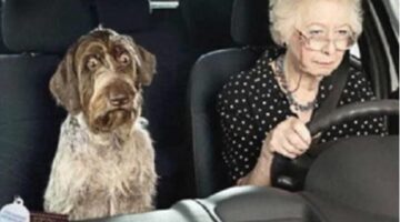 377870_307891845922931_100001063531906_1015702_1842792705_n