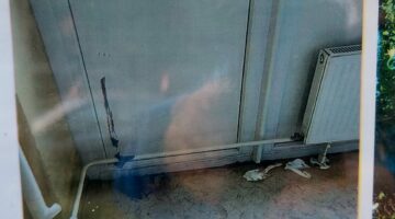 392816437_7485959984754439_7799473413419961511_n