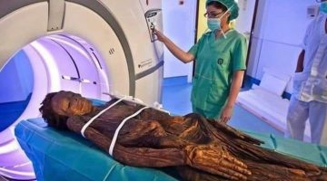 393814250_913646736784422_28076763005900803_n