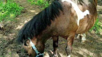 396720178_7175977739125370_5248908467919373817_n