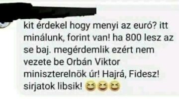 398324270_1647647115764589_6370376453259316018_n