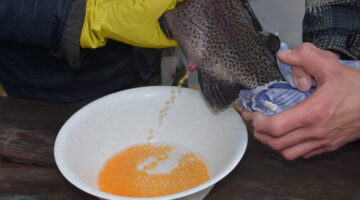 403898282_730302145791532_1278271119434007117_n