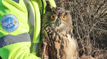 405547185_665366129118371_3396896734499711736_n