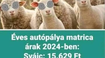 407350383_1797634714009960_8885641730243034366_n