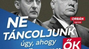 410856807_203802522794547_8616097602898460141_n