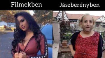 414508132_2067747813589688_2643199225700031599_n