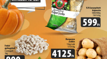 42 het oszi vasar másolat