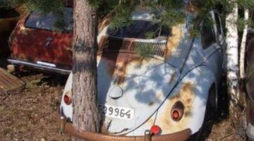 422503_387864481241881_100000549964741_1515540_1016887736_n