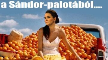 426406554_807076601231208_6295790062263586572_n