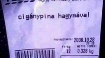 428602432_4129460767280913_1929519077760557277_n