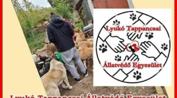 429779421_2991129384351408_6261661413114715553_n