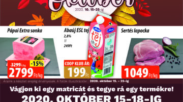 42eszak