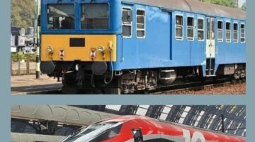 432041509_258537977321001_5073934535126253249_n